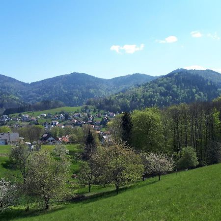 Ferienwohnung Schwarzwaldblick Bühlertal Εξωτερικό φωτογραφία