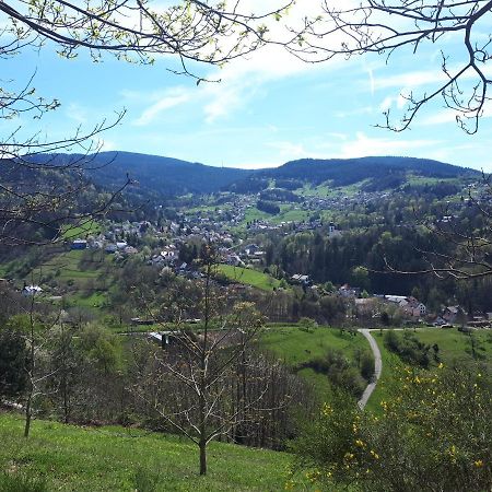 Ferienwohnung Schwarzwaldblick Bühlertal Εξωτερικό φωτογραφία