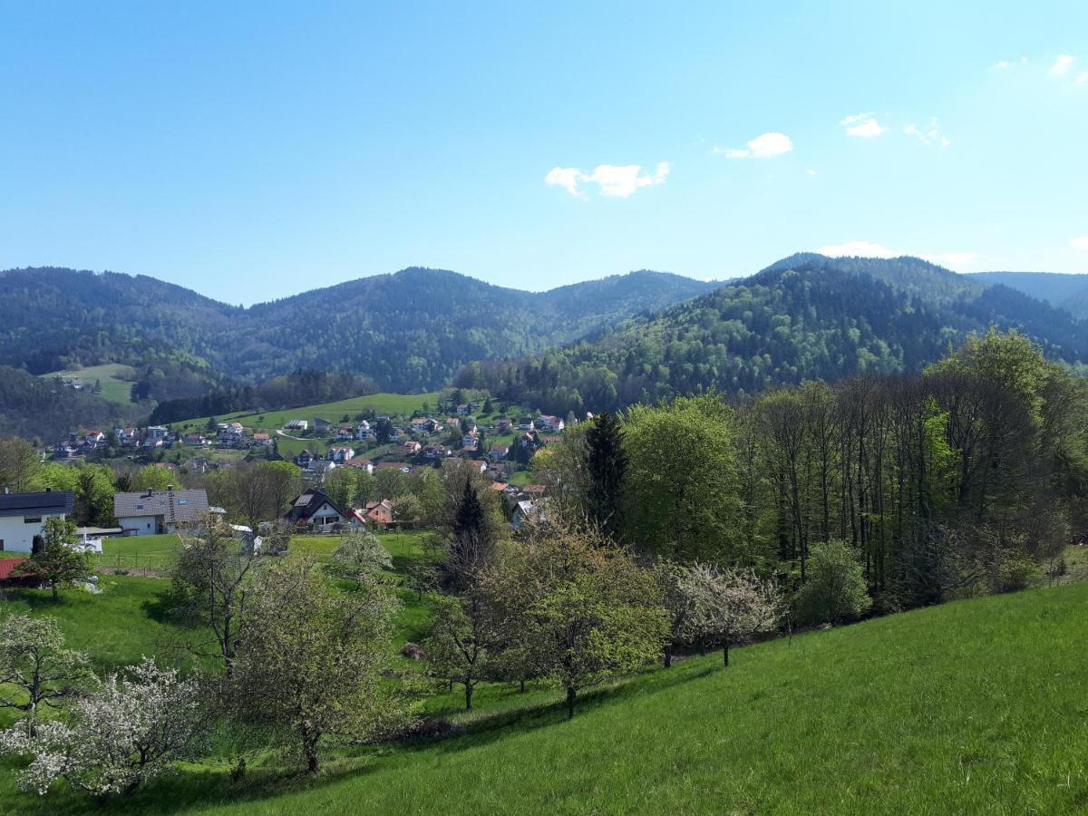 Ferienwohnung Schwarzwaldblick Bühlertal Εξωτερικό φωτογραφία