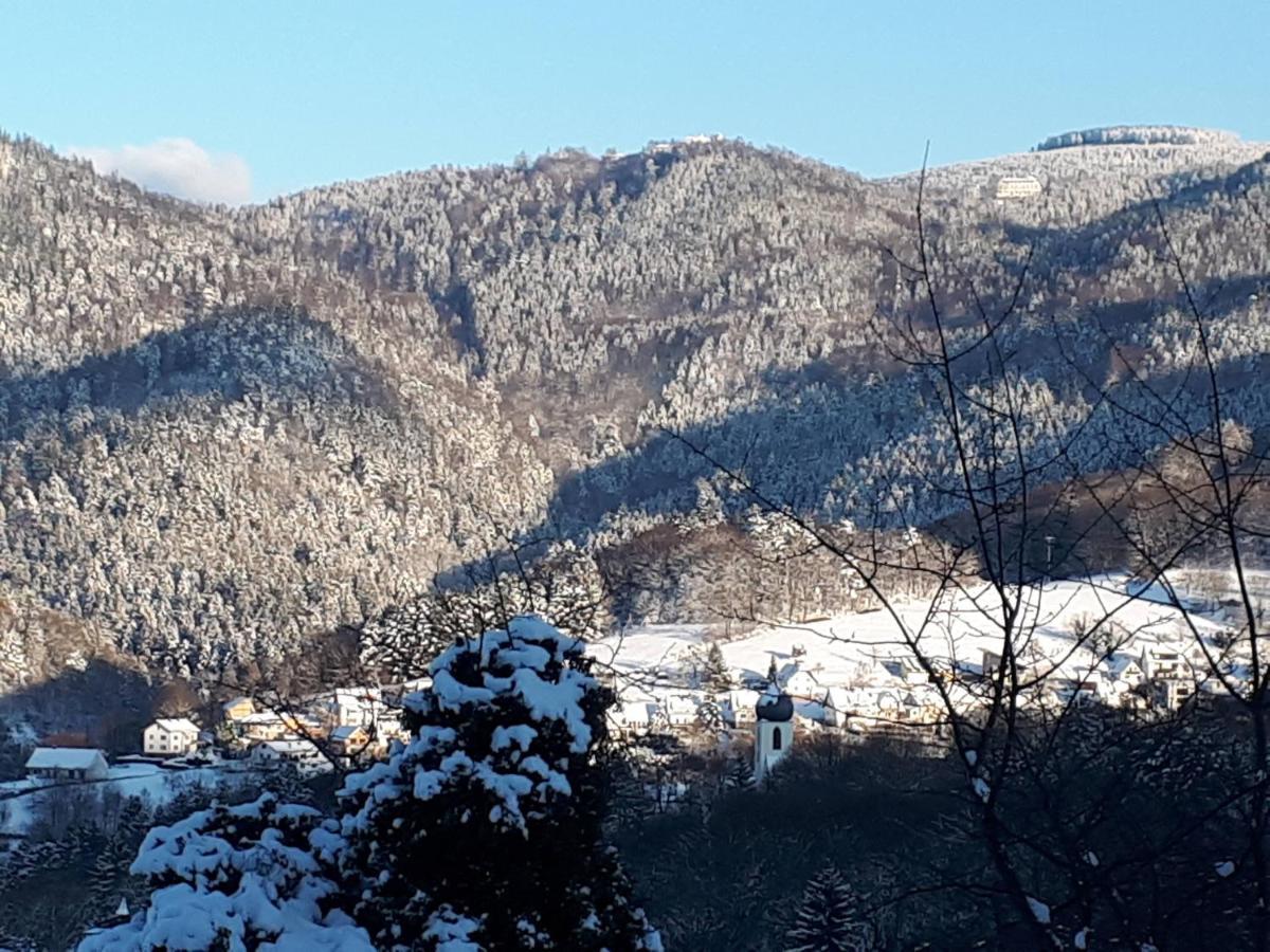 Ferienwohnung Schwarzwaldblick Bühlertal Εξωτερικό φωτογραφία